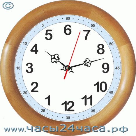Часы № Kn-12-G - 12 часовые обычного хода