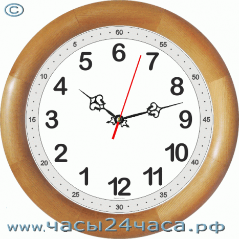 Часы № Kn-12-S - 12 часовые обычного хода