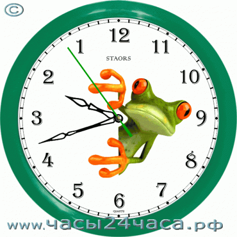 Часы № Zn-52-Pla - 12 часовые обратного хода, зеленого цвета