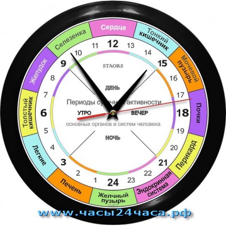 Часы ROH-1-5 - 24 часовые - для контроля работы органов в организме человека