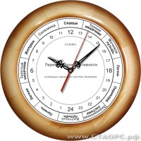 РОЧ-1-1 - 24 часовые