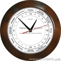 РОЧ-1-1 - 24 часовые