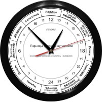 РОЧ-1-1 - 24 часовые