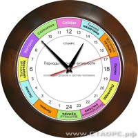 РОЧ-1-2 - 24 часовые