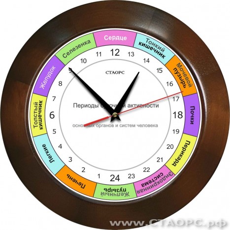 Часы РОЧ-1-2 - 24 часовые - для контроля работы органов в организме человека