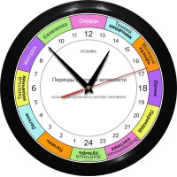 РОЧ-1-2 - 24 часовые