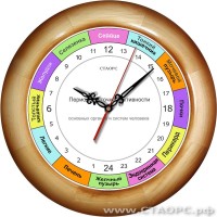 РОЧ-1-3 - 24 часовые