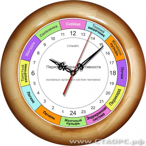 Часы РОЧ-1-3 - 24 часовые - для контроля работы органов в организме человека