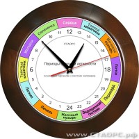 РОЧ-1-3 - 24 часовые