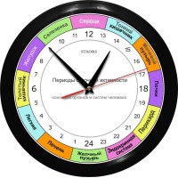 РОЧ-1-3 - 24 часовые