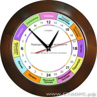 РОЧ-1-4 - 24 часовые