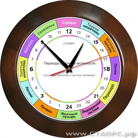 Часы РОЧ-1-4 - 24 часовые - для контроля работы органов в организме человека