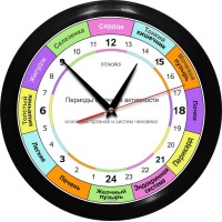 РОЧ-1-4 - 24 часовые