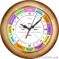 РОЧ-1-5 - 24 часовые