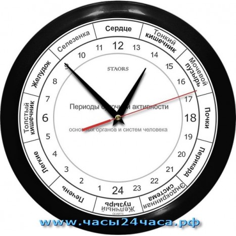 Часы ROH-1-1 - 24 часовые - для контроля работы органов в организме человека