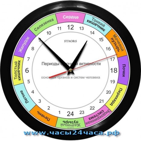Часы ROH-1-2 - 24 часовые - для контроля работы органов в организме человека