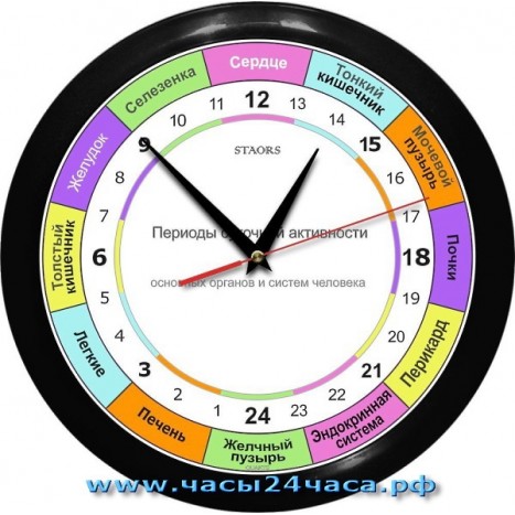 Часы ROH-1-4 - 24 часовые - для контроля работы органов в организме человека