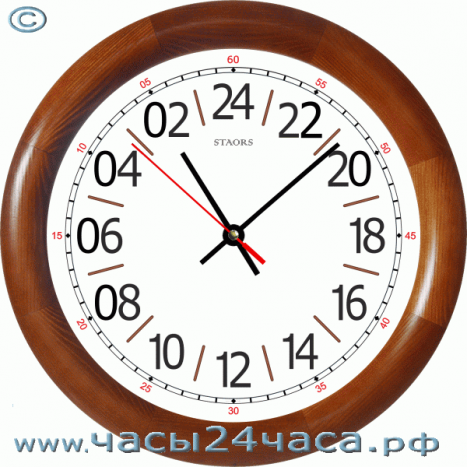 Часы Zn-80 - часы 24 часовые обратного хода  с большими часовыми цифрами (символами).