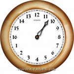 16-Dv-12-rev - 16 часов