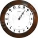 Славянские Dv-16-12-rew - часы 16 часовые - для контроля 16 часового времени