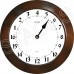 Славянские Dv-16-4 - часы 16 часовые - для контроля 16 часового времени