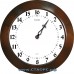 Славянские Dv-16 - часы 16 часовые - для контроля 16 часового времени