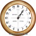 Славянские Dv-Dn-16 - часы 16 часовые - для контроля 16 часового времени